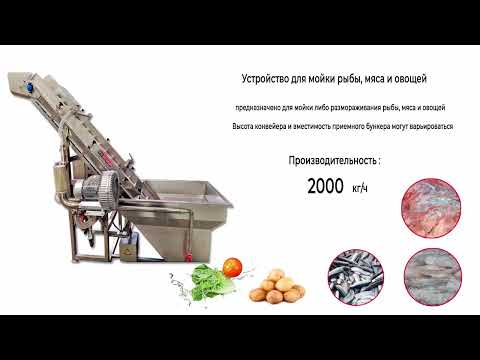 Устройство для мойки рыбы и овощей заказать в России | ООО БЕСТЕК-Инжиниринг