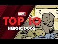 Heroic Dogs | Marvel Top 10