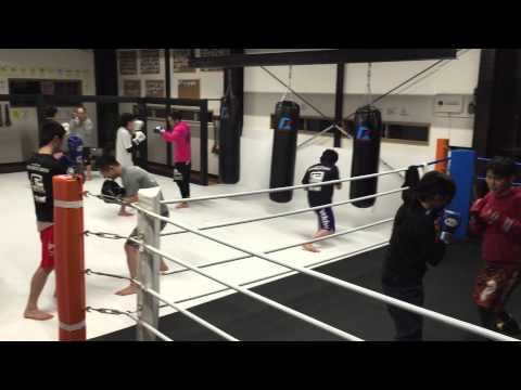 打撃ディフェンス練習