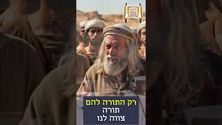 זה בשבילך!!! - מרן הרב מרדכי אליהו  #dance #live #תורה  #greenscreen (הרב מרדכי אליהו זצ"ל) - התמונה מוצגת ישירות מתוך אתר האינטרנט יוטיוב. זכויות היוצרים בתמונה שייכות ליוצרה. קישור קרדיט למקור התוכן נמצא בתוך דף הסרטון