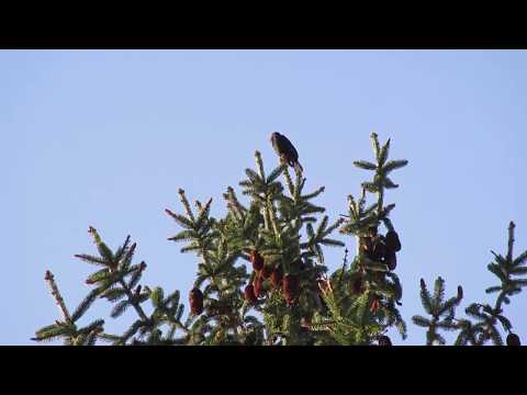 Was brauchen wir wirklich?