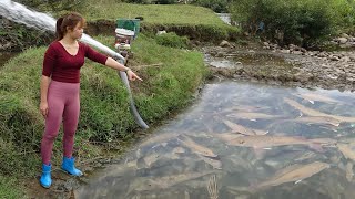 Full Videos: Greatest Fishing Videos, Harvesting a Lot Of Big Fish and Go To Market Sell