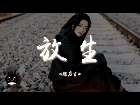 趙乃吉 - 放生『不如就分手放我一個人生活，請你雙手不要再緊握。』【動態歌詞 | Pinyin Lyrics】【PENGUIN MUSIC】