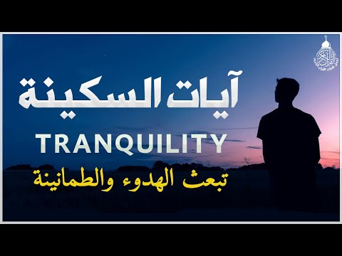 آيات السكينة لدفع القلق والهموم | AYAT OF TRANQUILITY - SAKINAH