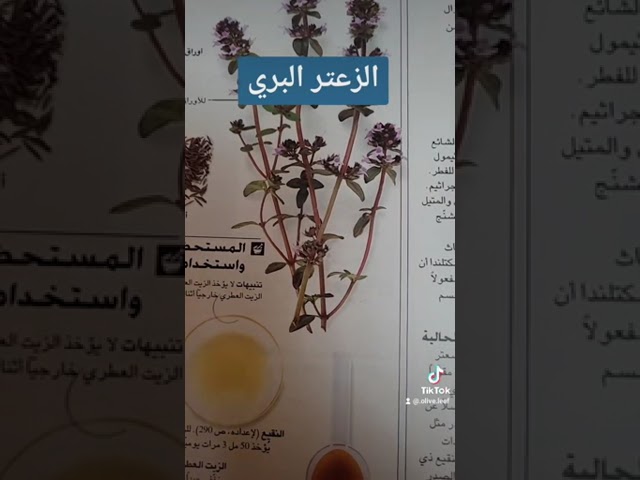 زعتر بري مجفف اصلي طبيعي 100 جرام
