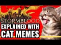 FFXIV Stormblood - Explained With Cat Memes