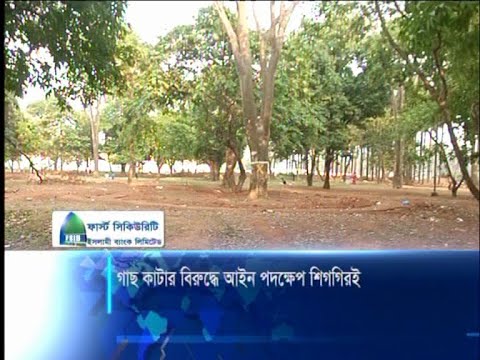 গাছ কাটার বিরুদ্ধে আইনি পদেক্ষেপ শিগগিরই