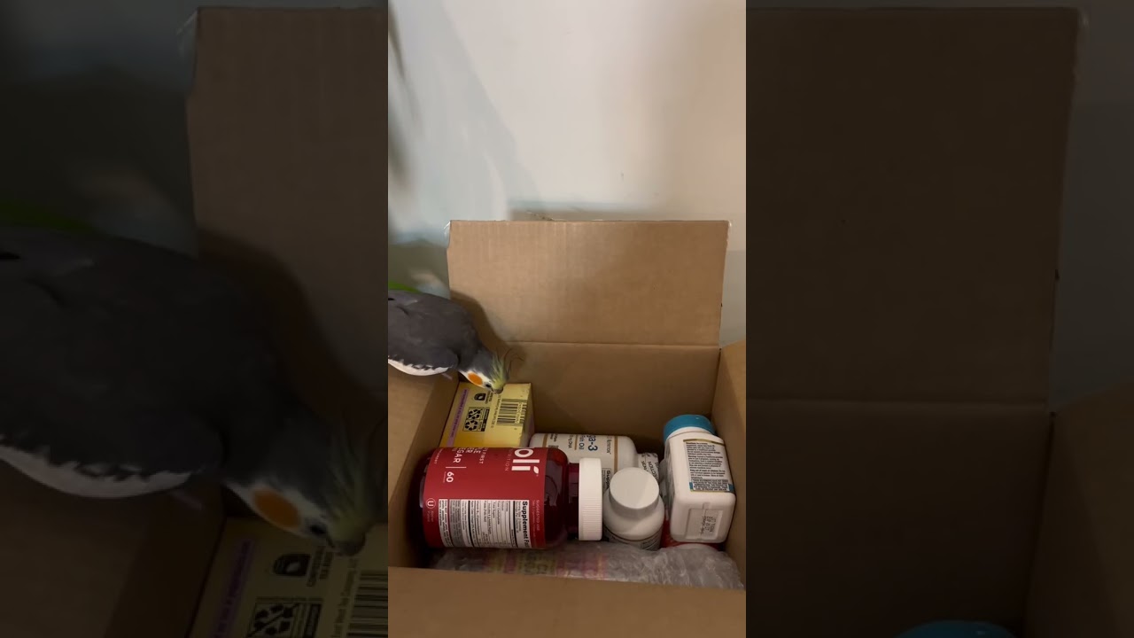 Supplements order from iHerb🍀