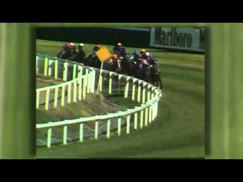 1977 Golden Slipper - Luskin Star