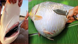 Catching Seafood ๐ฆ๐ ASMR Relaxing (Catch Shark , Catch Fish ,Deep Sea Monster ) #392