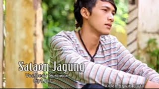 Sataon Jagung Dedy Gunawan (Official Musik Video) 