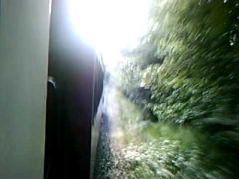 Fahrt auf der Selketalbahn Lokansicht 2