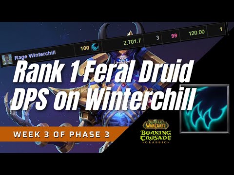 Rank 1 Feral DPS on Rage Winterchill | Classic TBC