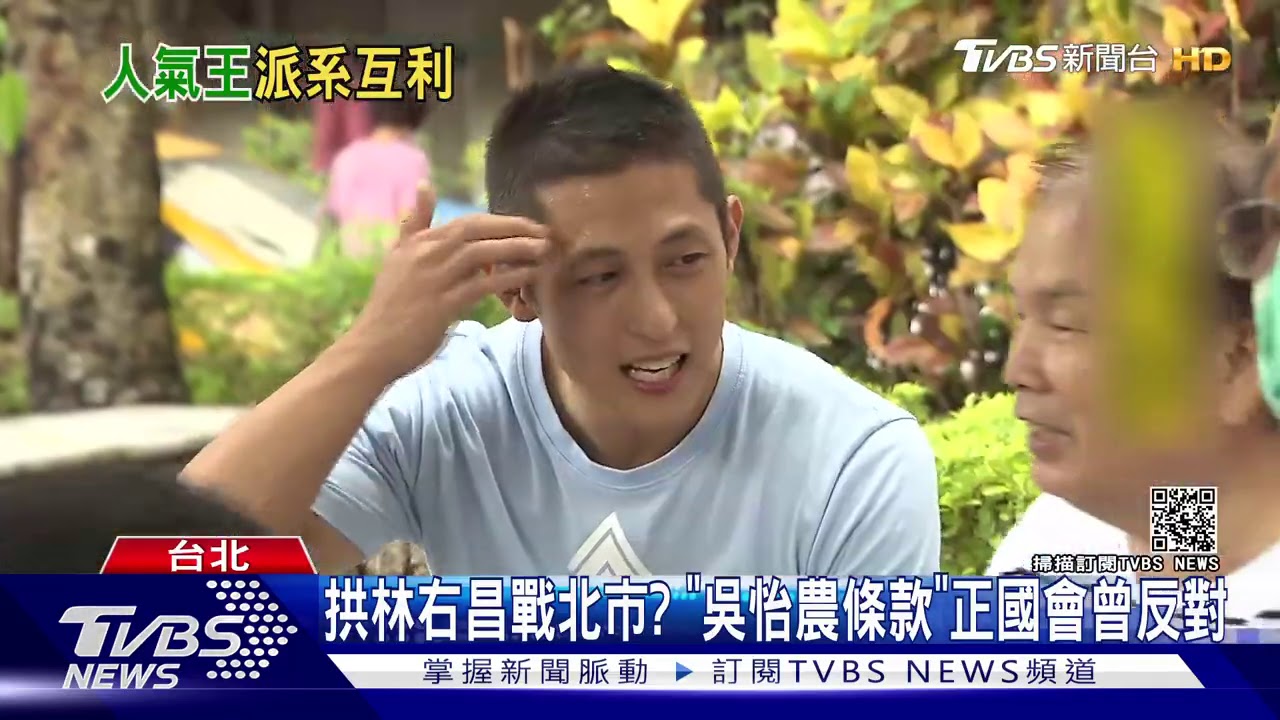 拚北市主委!「吳怡農條款」復活 綠擬放寬資格