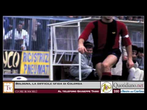 Bologna, la difficile sfida di Colomba