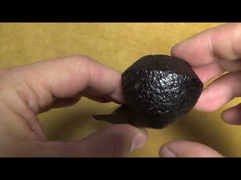 Pipa Dunhill Shell Briar gruppo 4 - 4117 (2025) - DHSH284