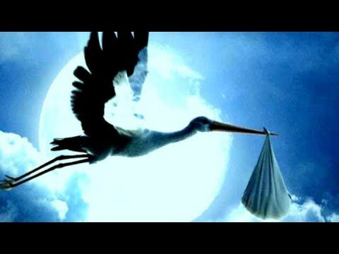 Actriz embarazada de su novio actor que conoció en una ficción del año pasado