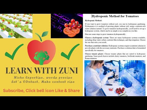 Learn with Zuni | Hydroponic Technique for Tomato | Hydroponic Nutrients