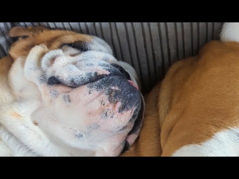 It must be so much fun living with Pablo and Diego 😐