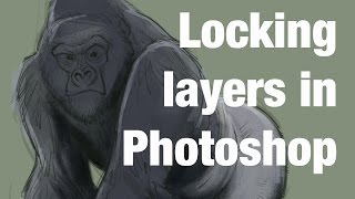 Photoshop - Locking Layers