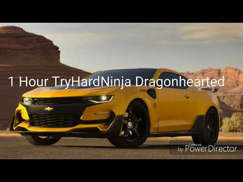 1 Hour TryHardNinja Dragonhearted | Koopa85