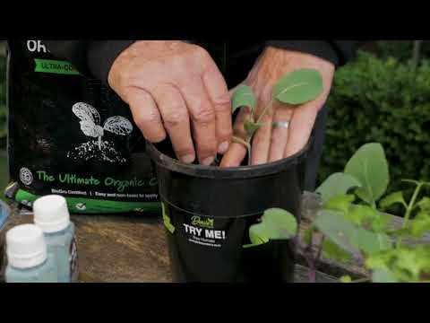 DGP Organic Humate SUBTITLES