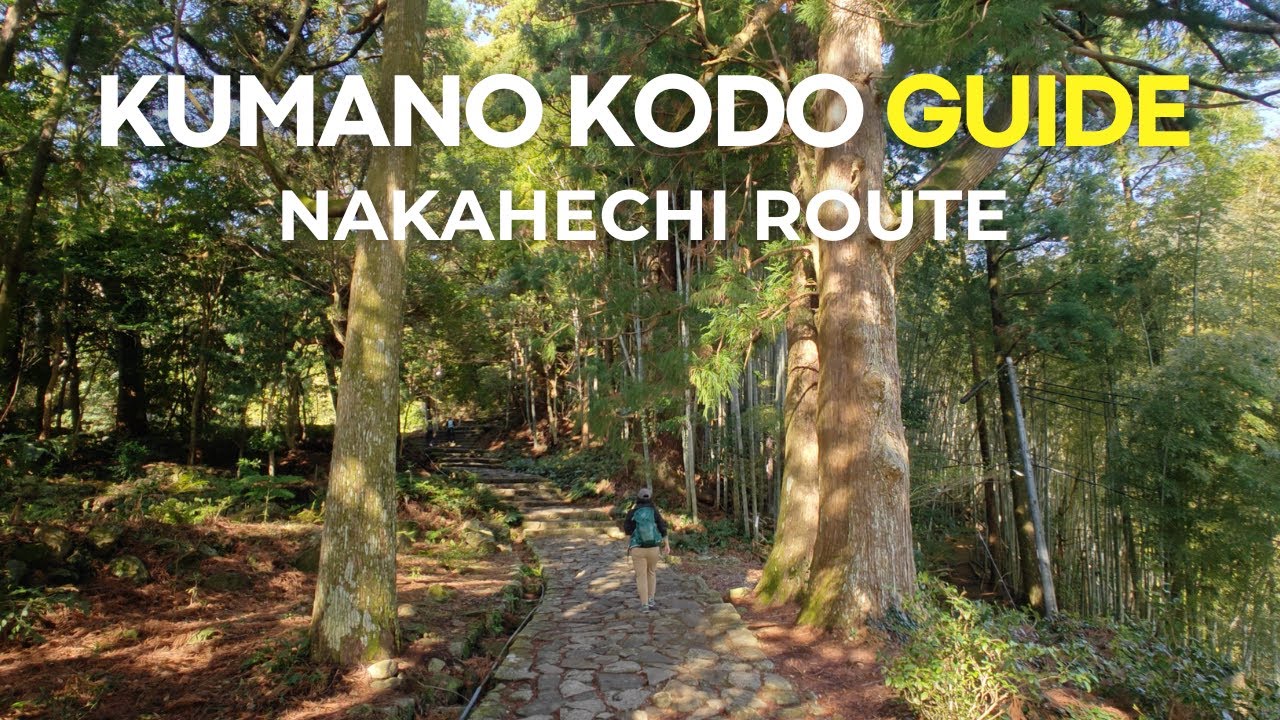 Ancient Kumano Kodo Trails Offer Spiritual Pilgrimage in Wakayama, Japan