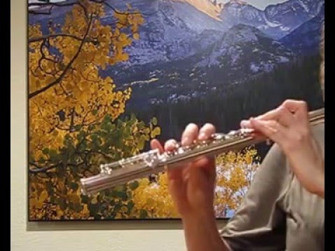 Yamaha 881 Flute (used) w/ Yamaha Headjoint - Low to Mid Registers