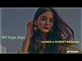 Dil Laga Liya Slowed Reverb 8D Sound Dil Hai Tumhara Old Is Gold
