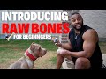Best Raw Bones To Start Feeding Your Bully