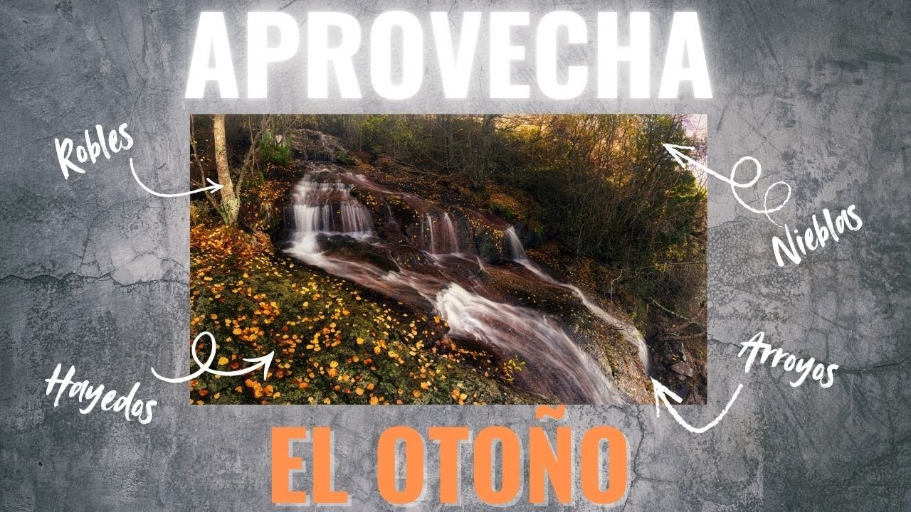 APROVECHA el OTOÑO: la MEJOR época para fotografiar (y ACABA YA)