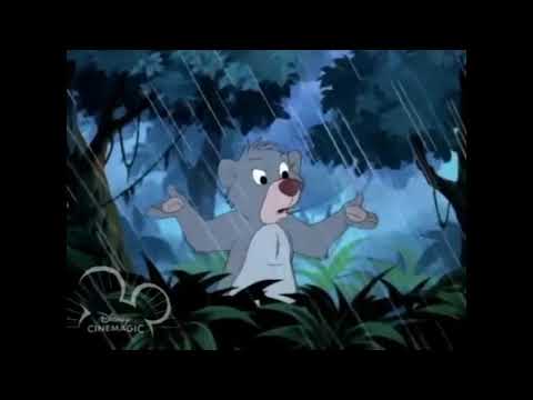 Judy White and the Seven Cubs Part 19 - Judy's Death and Funeral