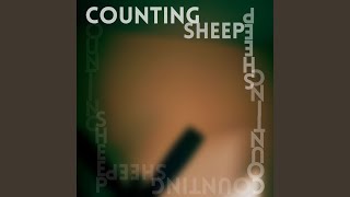 Counting Sheep Music Video