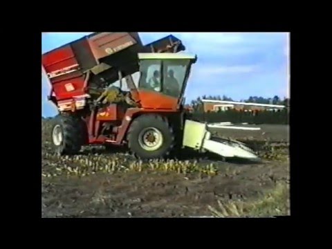 Loonw. Vervinckt - Evergem