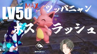 LV50ツッパニャンVSボスラッシュ【難易度ノーマル】