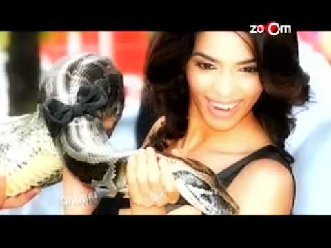 Mallika Sherawat 'bites' the dust