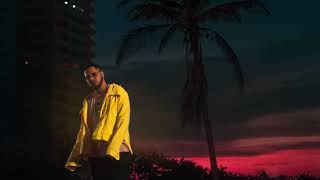 Le Temps D'une Nuit Music Video