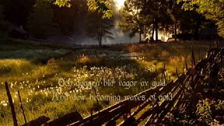 Nordman - I Midsommartid