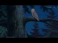Sanzoku no Musume Ronja - The Wolf Song ...