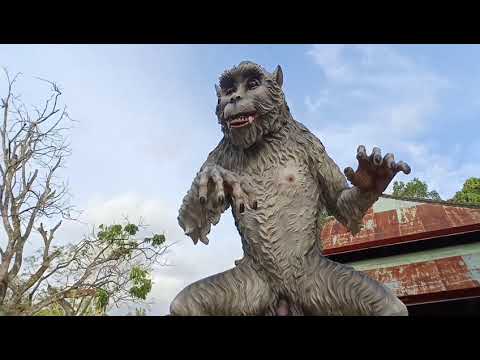 BERTEMU KAWAN LAMA #ALAS KEDATON