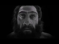 Old Apes - Old Apes