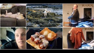 DITL: Beach Walk, Massive Frenchy Haul, Grocery Haul..Chit Chat & More