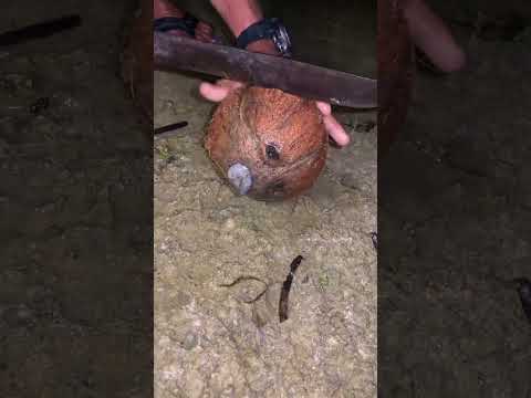 wow🥶😱  #outdoors  #asmr  #fishing  #seaanimals  #animals