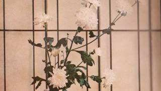 NOTS  Inherently Low