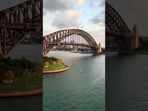 Thumbnail for Cruise view of a sunrise at the Sydney Harbour 😱🤩