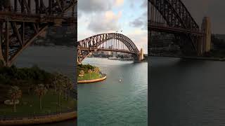 Cruise view of a sunrise at the Sydney Harbour 😱🤩