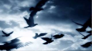 Funeral For A Friend - Roses For The Dead - Piano Cover