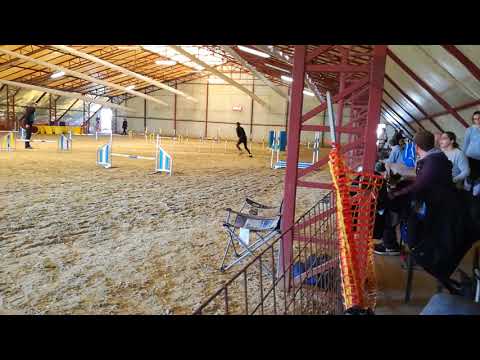 2018.10.14.Kraft open jumping hibátlan futam 5 hely!