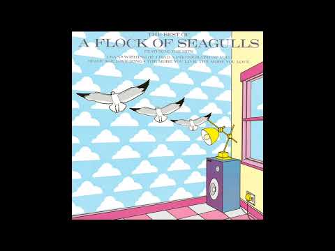 The Best of A Flock of Seagulls [Full Album]