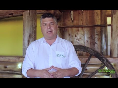 SP RURAL- A ROÇA NA TV -N°13 , EXIBIDO PELA BAND PAULISTA EM 24/09/17